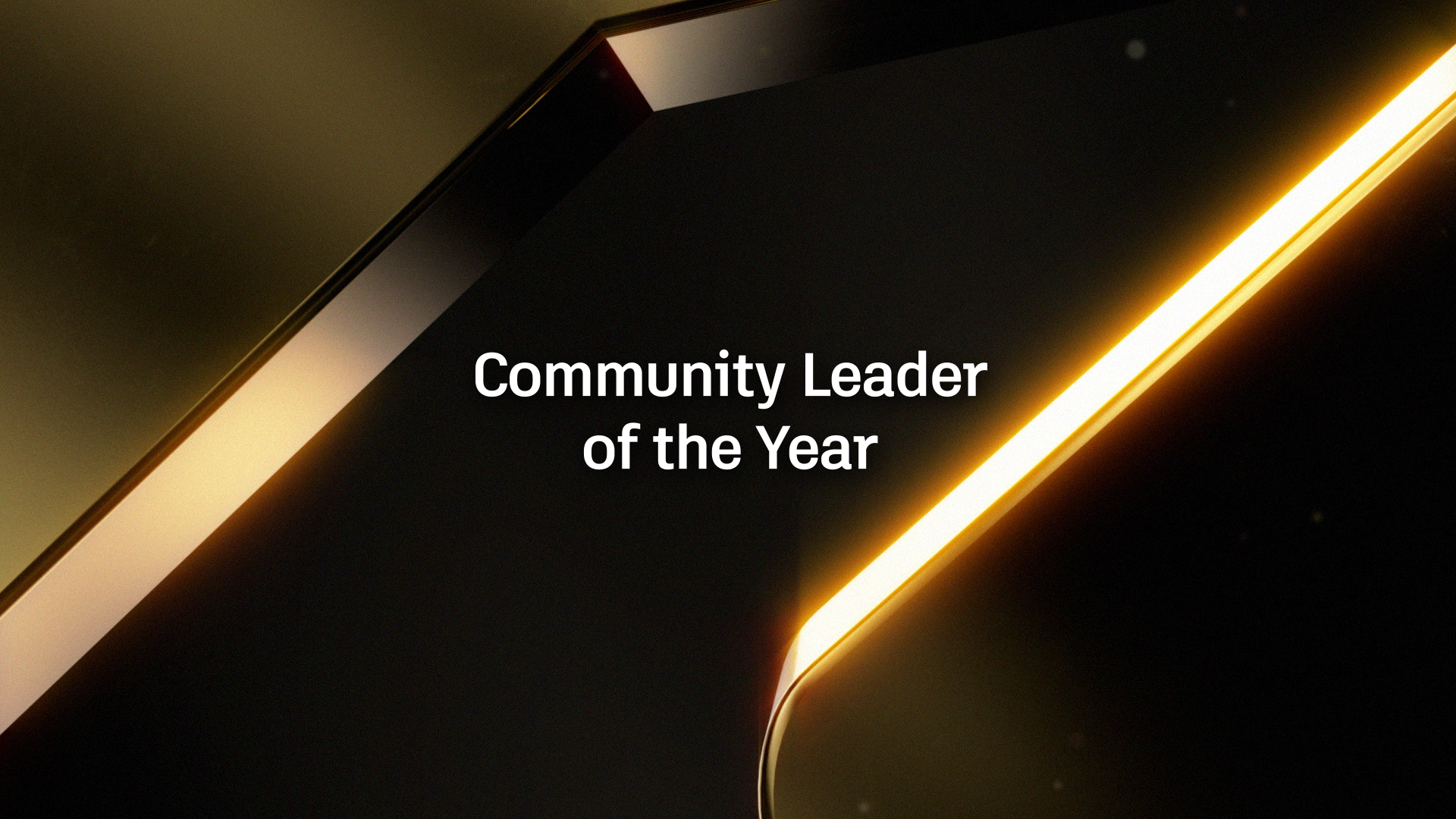 11 Category – Community Leader of the Year 11 Category – Community Leader of the Year